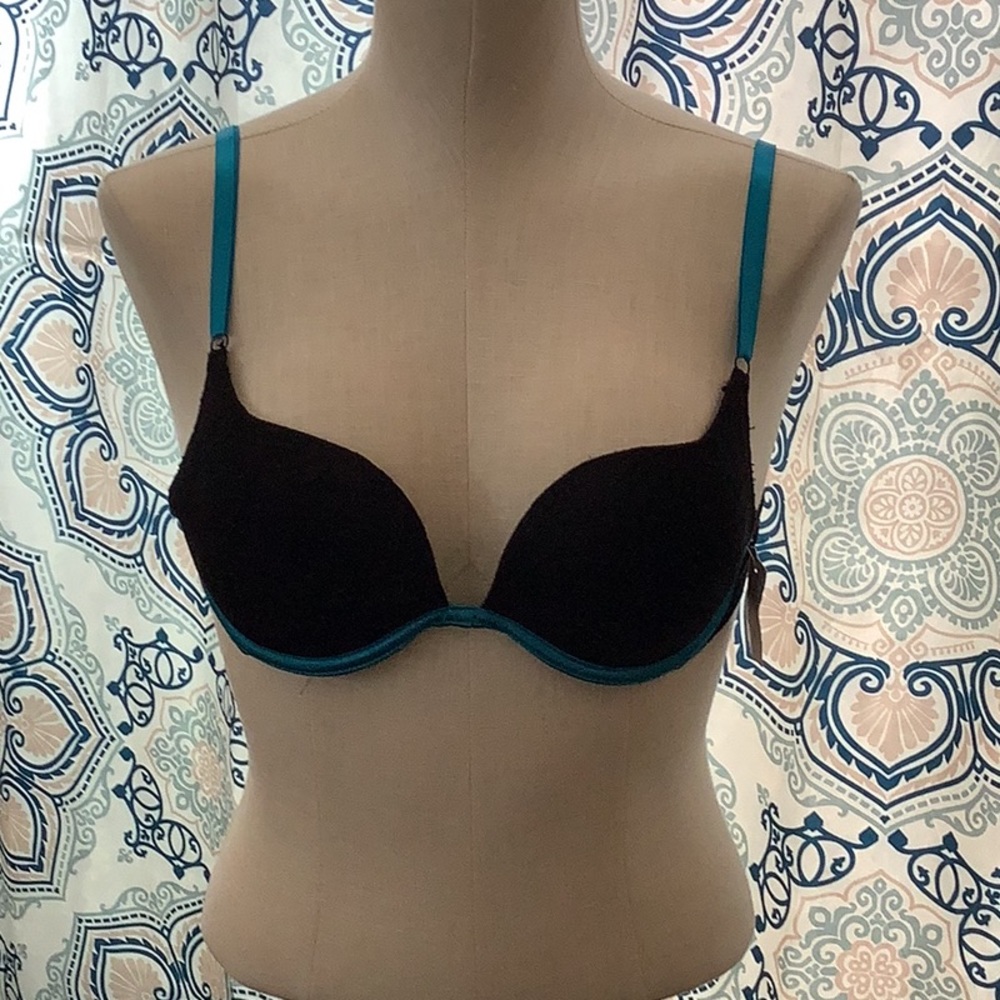Fredericks of Hollywood bra